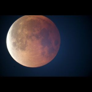 Meet your Posher, Shimona